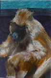 Baboon by Erica Shipley, Painting, Pastel