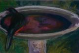 Bird Bath (Redwing Starling II) by Erica Shipley, Painting, Pastel