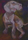 Mutt by Erica Shipley, Painting, Pastel