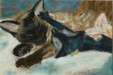 New Tom by Erica Shipley, Painting, Pastel